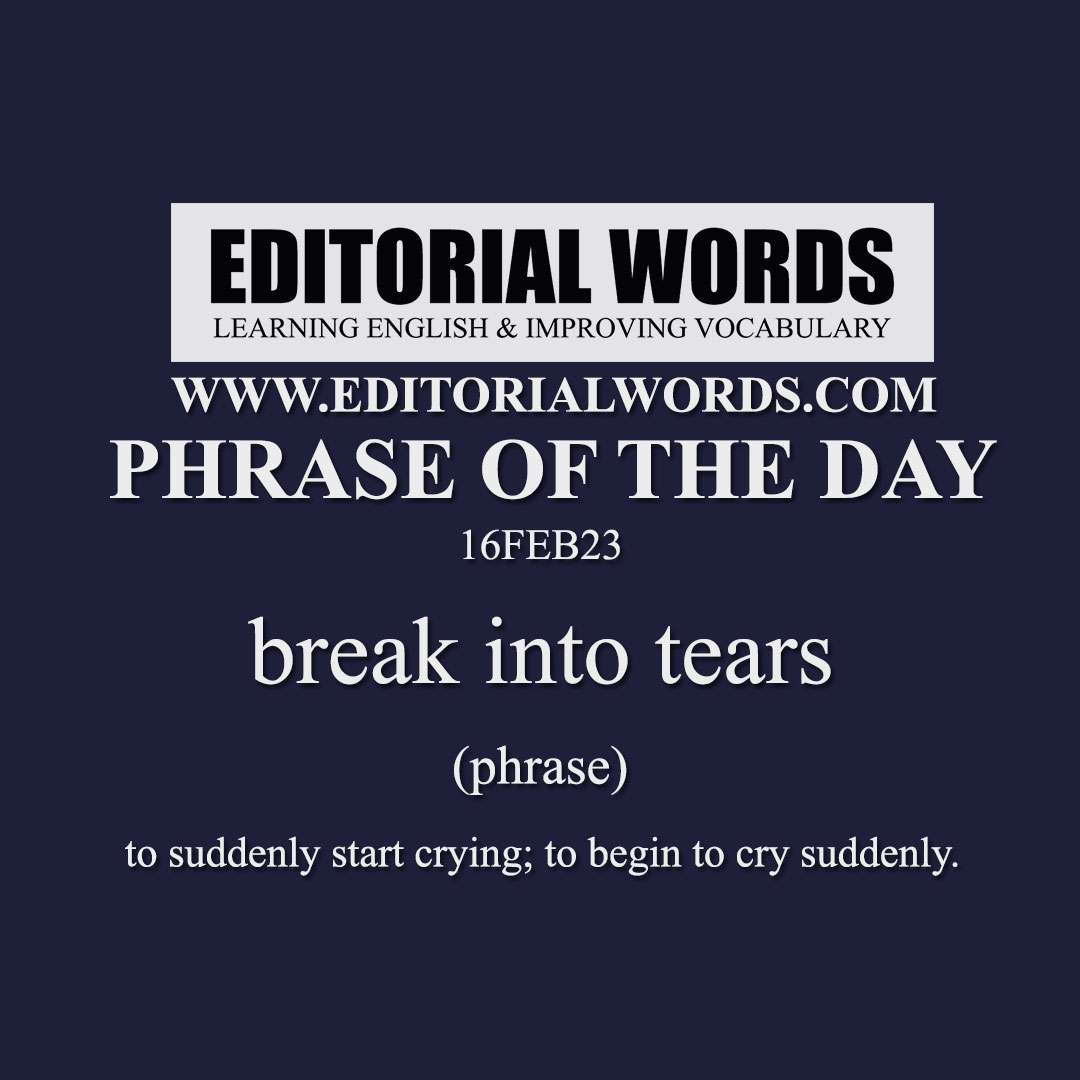 Break Into Tears Meaning In English