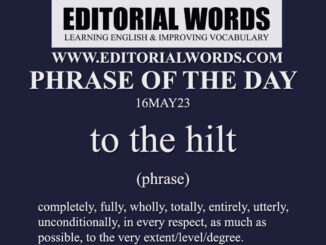 Phrase of the Day (to the hilt)-16MAY23