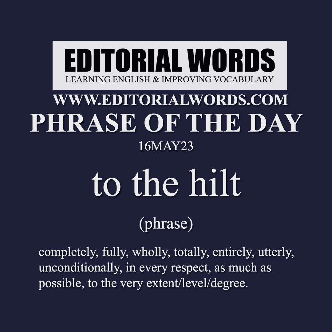 Phrase of the Day (to the hilt)-16MAY23