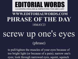 Phrase of the Day (screw up one's eyes)-18MAY23