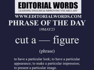 Phrase of the Day (cut a — figure)-19MAY23