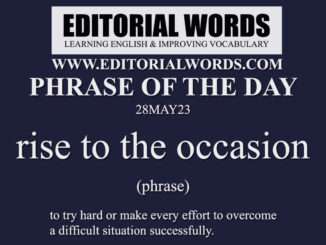 Phrase of the Day (rise to the occasion)-28MAY23