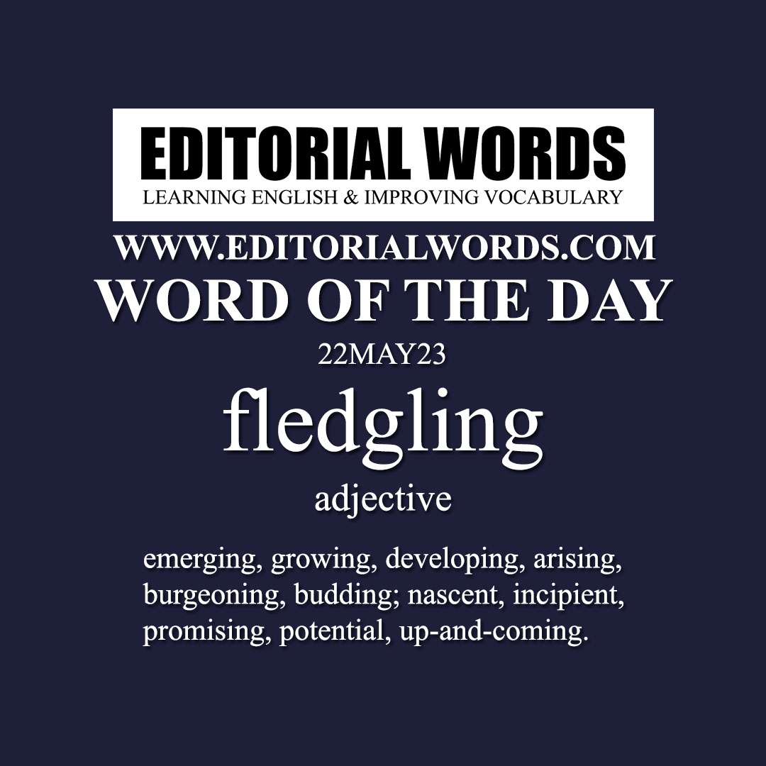 Word of the Day (fledgling)-22MAY23