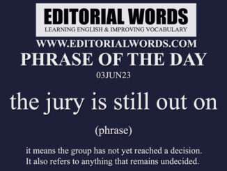 Phrase of the Day (the jury is still out on)-03JUN23