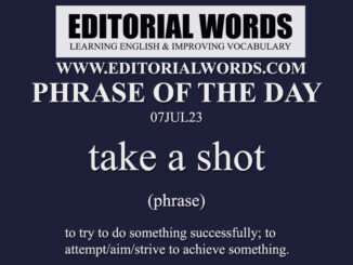 Phrase of the Day (take a shot)-07JUL23