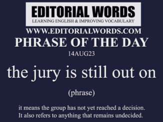 Phrase of the Day (the jury is still out on)-14AUG23