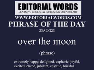 Phrase of the Day (over the moon)-23AUG23