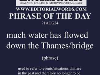 Phrase of the Day (much water has flowed down the Thames/bridge)-21AUG24