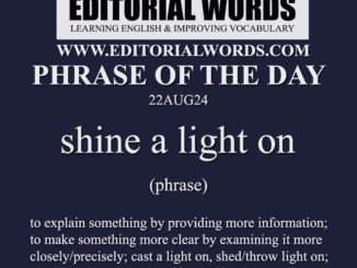 Phrase of the Day (shine a light on)-22AUG24