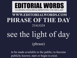 Phrase of the Day (see the light of day)-23AUG24