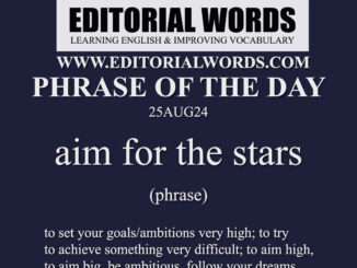 Phrase of the Day (aim for the stars)-25AUG24