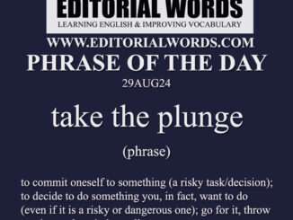 Phrase of the Day (take the plunge)-29AUG24