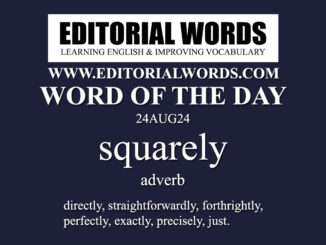 Word of the Day (squarely)-24AUG24