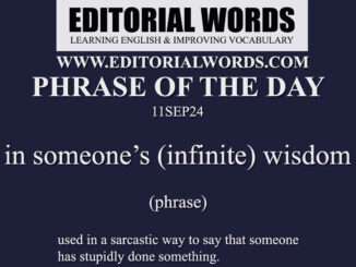 Phrase of the Day (in someone’s (infinite) wisdom)-11SEP24