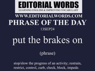 Phrase of the Day (put the brakes on)-13SEP24