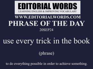 Phrase of the Day (use every trick in the book)-20SEP24