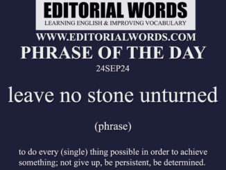 Phrase of the Day (leave no stone unturned)-24SEP24