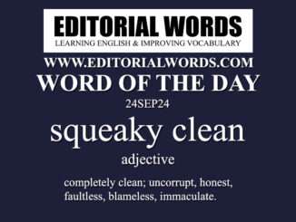 Word of the Day (squeaky clean)-24SEP24